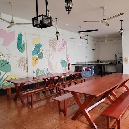 Poco A Poco Hostel Leon Luaran gambar