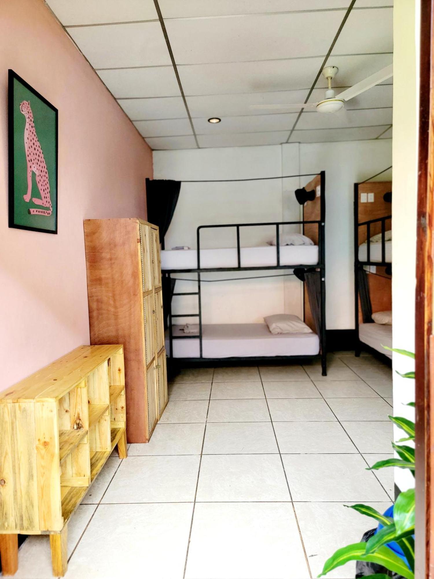 Poco A Poco Hostel Leon Luaran gambar