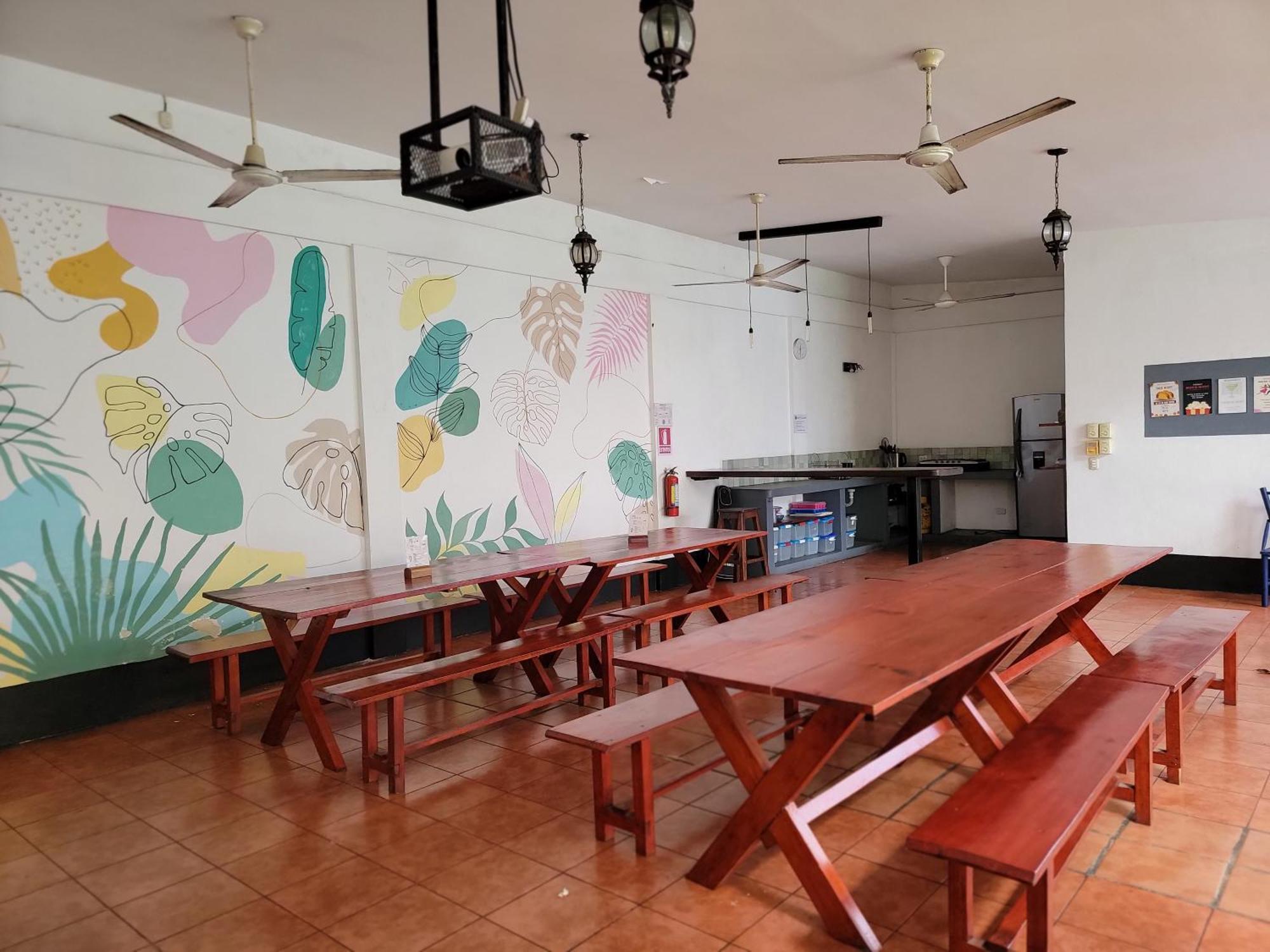 Poco A Poco Hostel Leon Luaran gambar