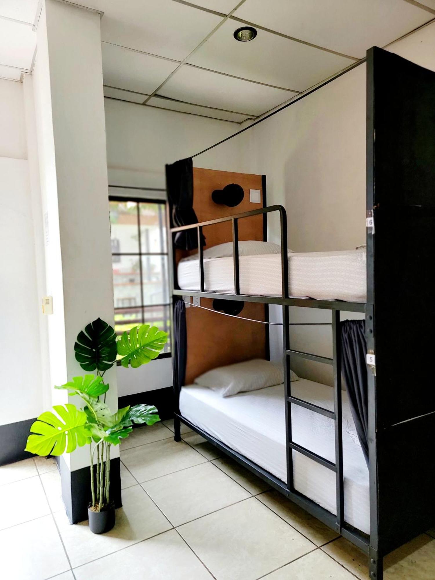 Poco A Poco Hostel Leon Luaran gambar