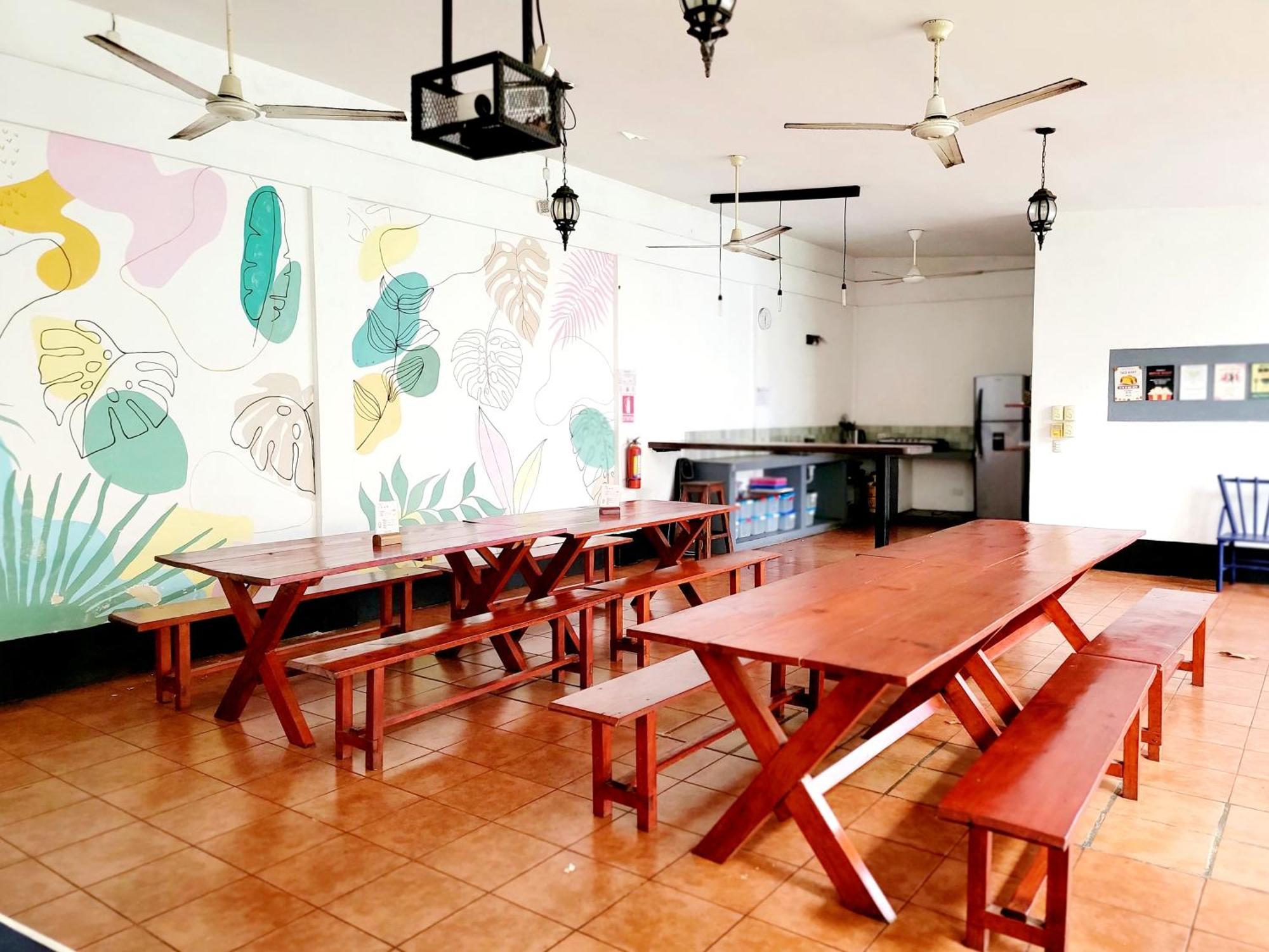 Poco A Poco Hostel Leon Luaran gambar